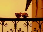 Dimensione di nido