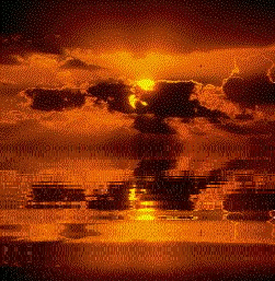 La gioia del sol  