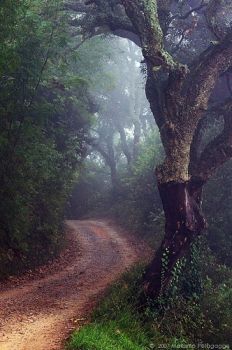 Viaggio nell�anima