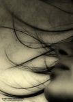 Shards  