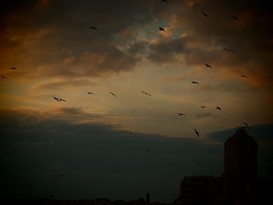 Sogni e bisogni  