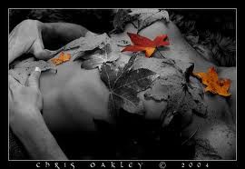Breve amore