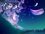 Il cielo pu� aspettare  