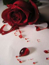 C�urs de rubis