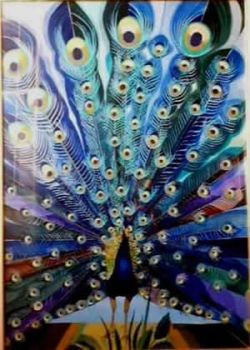 Les yeux d'Argos  