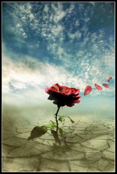 Amour! Tout court!