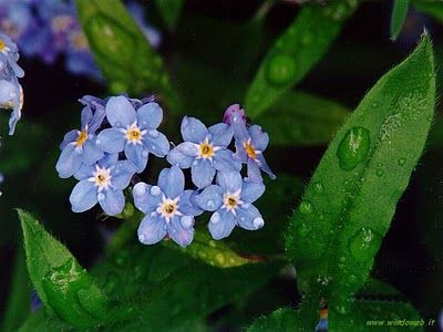 �, douce caresse