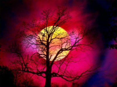 D�tresse!  