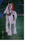 Concours hippique