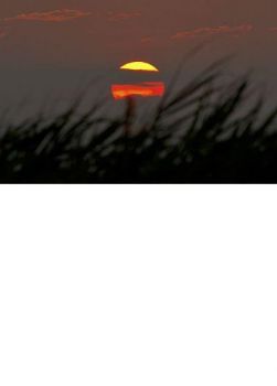 D�s l'aube  