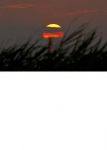 D�s l'aube  