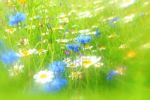 Voil� le moment