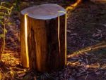 D�solation