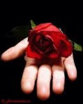Ionons�pi�parlard'amor
