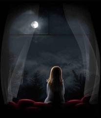 Luna amica