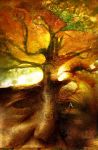 Ascolto gli alberi!