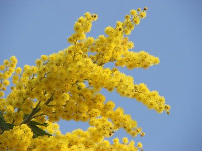 La virgola che unisce  