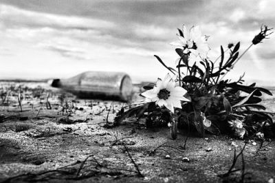 Solitudine  
