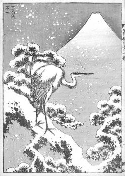 S� � inverno