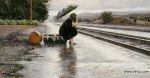 Cos� sono per te