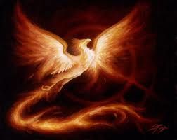 Fenice