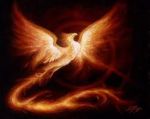 Fenice