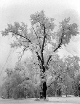 Neve di fiaba