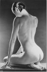 Rea fallace  