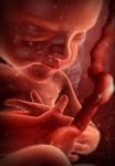 Diario d'una mamma