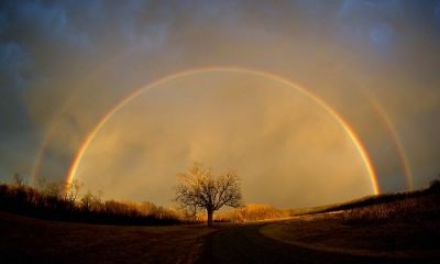 Gli occhi dell�arcobaleno