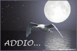 Ancora