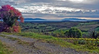 Maremma
