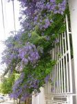 Ascolta...� autunno  