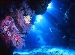 Nel nostro mare