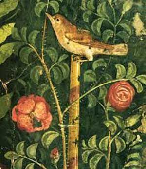 La loro primavera  