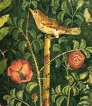La loro primavera  