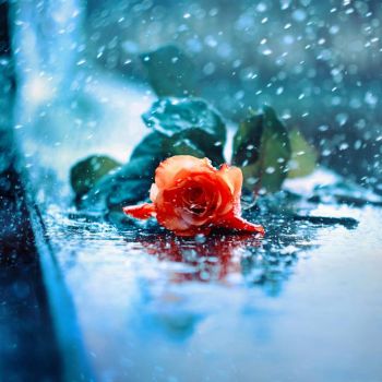 Questo � quanto