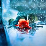 Questo � quanto