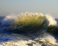Intorno a noi il mare