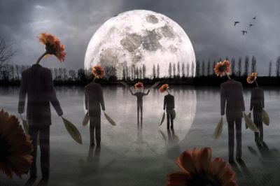 Legami di luna