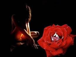 Cos'� la felicit�  