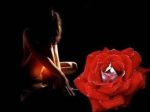 Cos'� la felicit�  