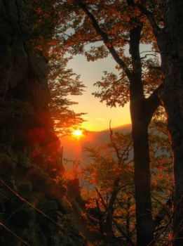 La sera � qui  