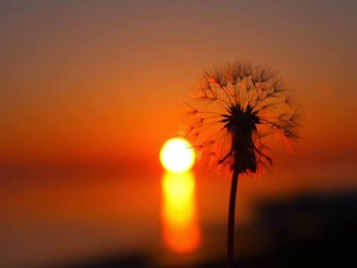 Abbraccio di poesia  