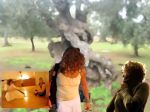 Nuvola bionda  