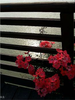 Riflettendo