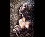 Come acqua le tue mani  