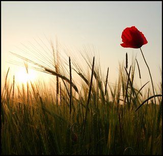 L'oggi, � mio