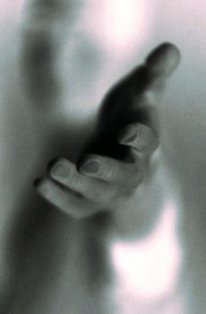 Dimentica
