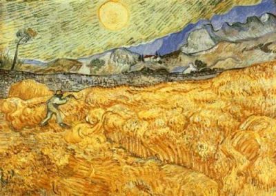 Occhi di grano